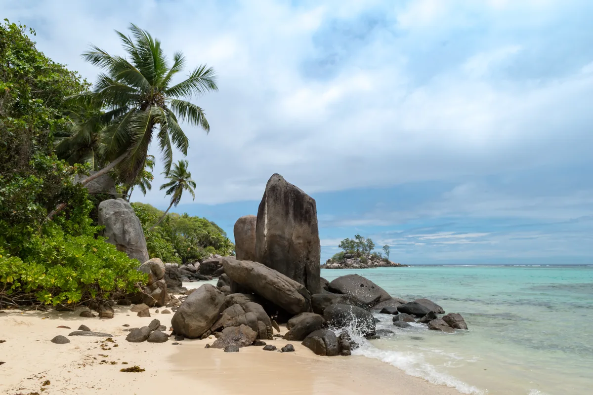 Palm trees and granite rocks on the Anse Royale coast of Mahé