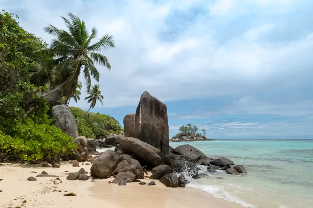 Palm trees and granite rocks on the Anse Royale coast of Mahé